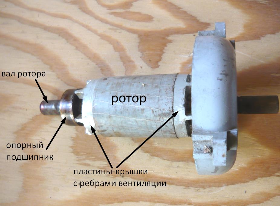 строение ротора асинхронного двигателя